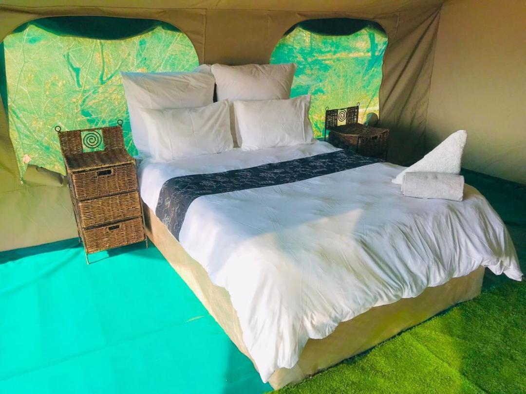 Lodge Hippo Paradise And Kariba