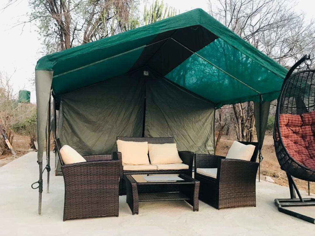 Lodge Hippo Paradise And Kariba