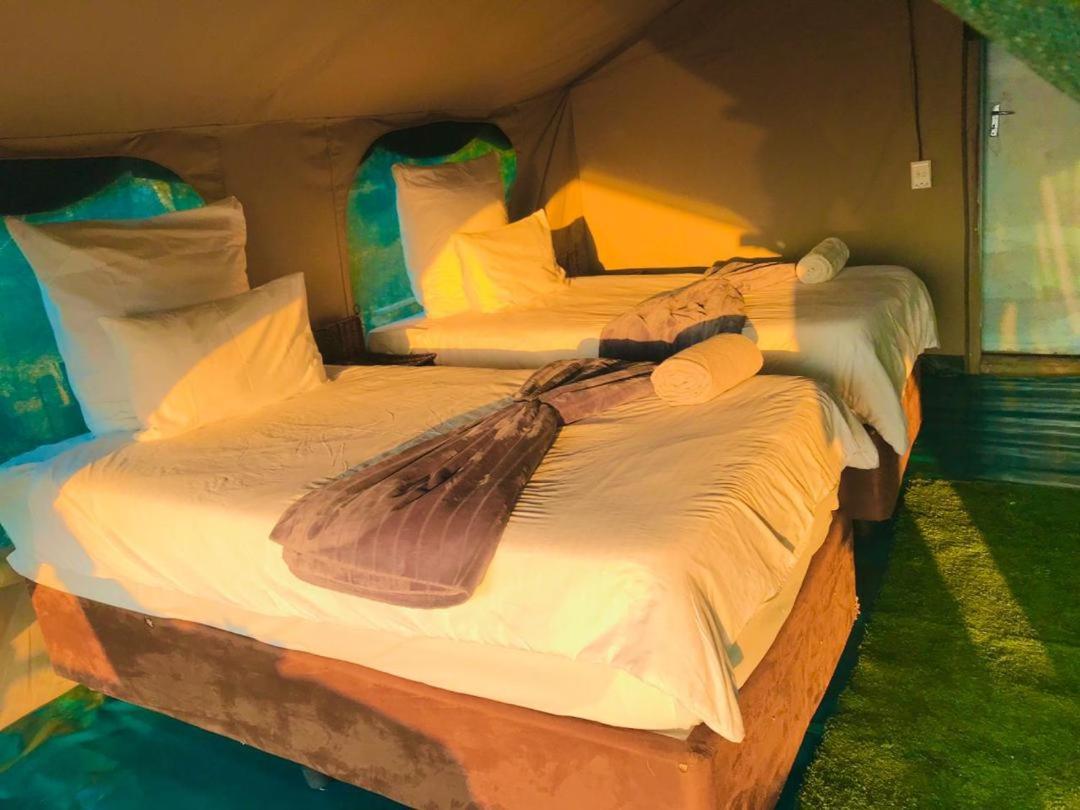 Lodge Hippo Paradise And