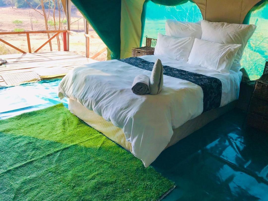Hippo Paradise And Lodge Kariba