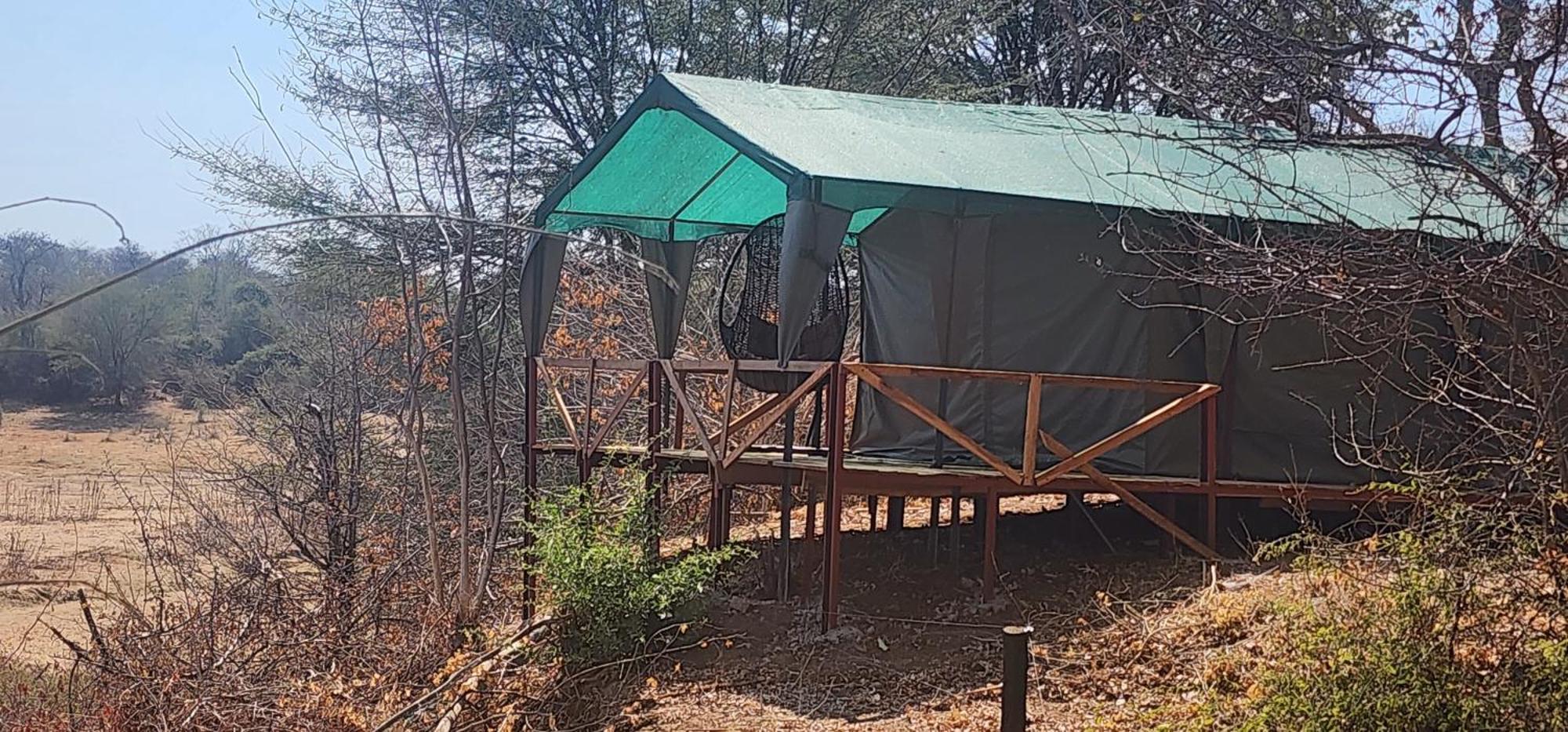 Lodge Hippo Paradise And Kariba