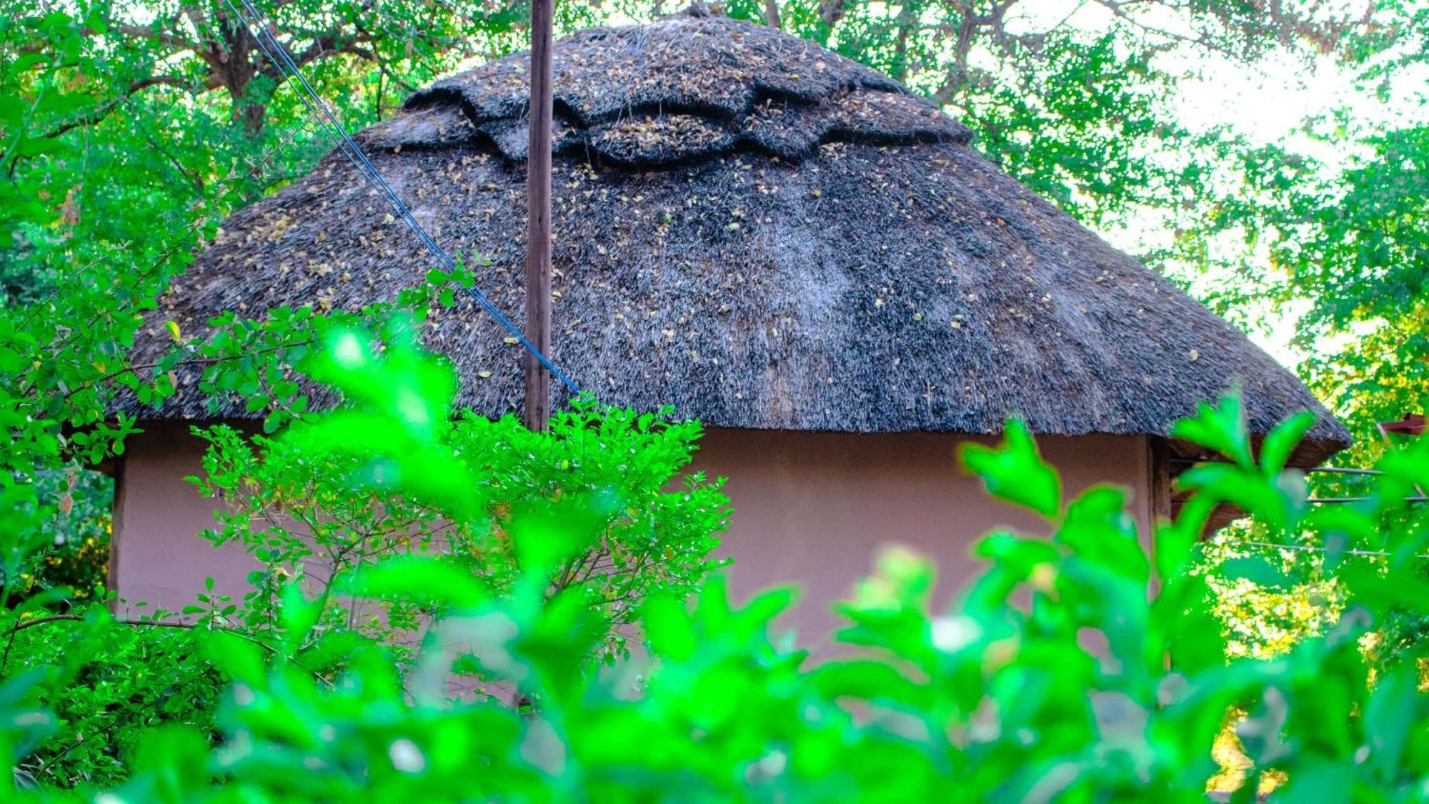 Hippo Paradise And Lodge Kariba
