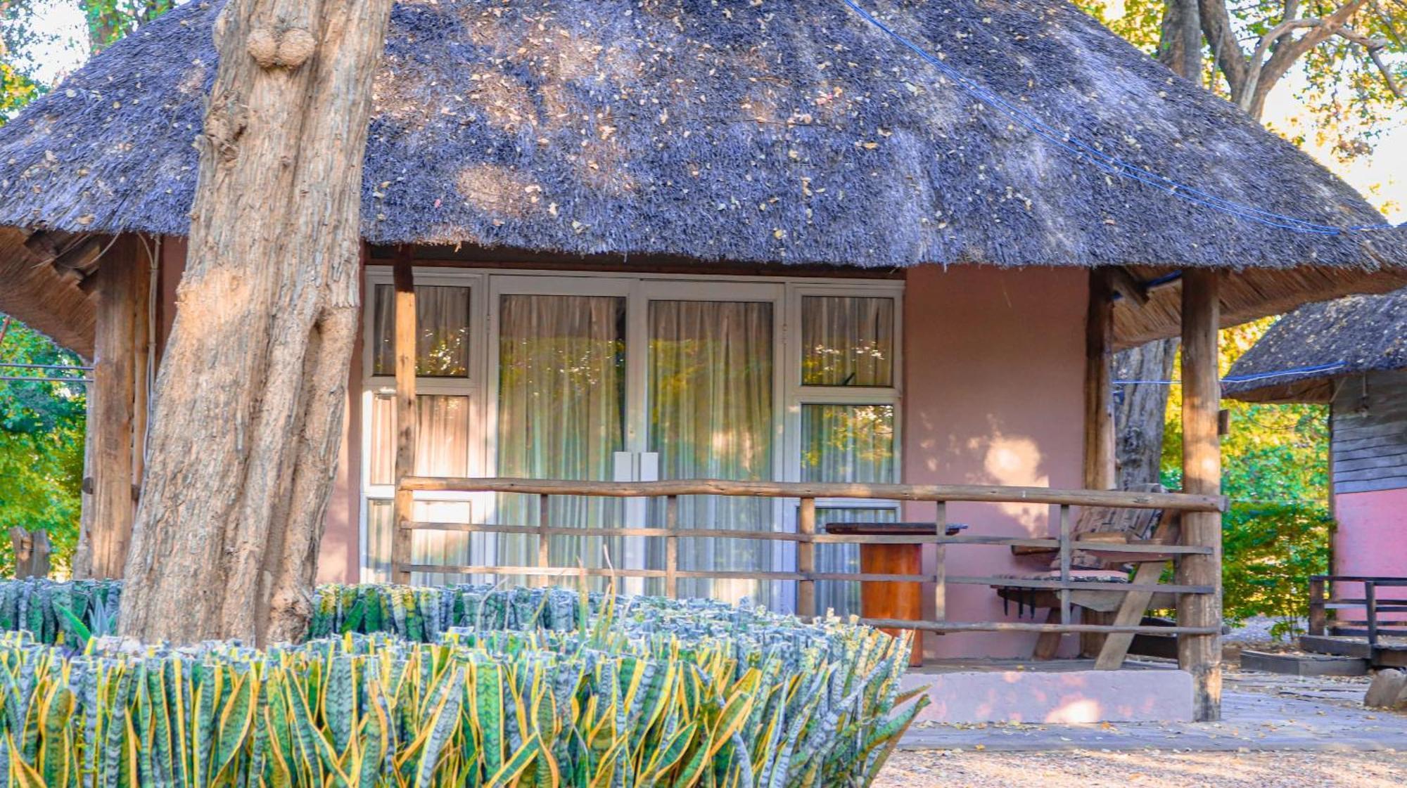 Hippo Paradise And Kariba